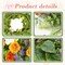 18" Summer Floral Wreaths for Front Door Summer Wreath with Daisy Flowers Green Tea Leaves, Artificial Floral Wreath Green Foliage Wreath for Wall Window Farmhouse Party Holiday Home Decor